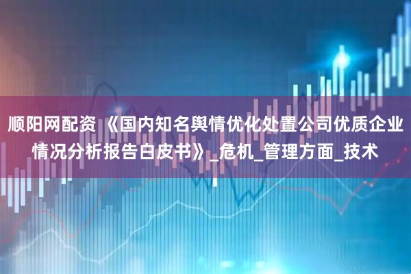 顺阳网配资 《国内知名舆情优化处置公司优质企业情况分析报告白皮书》_危机_管理方面_技术